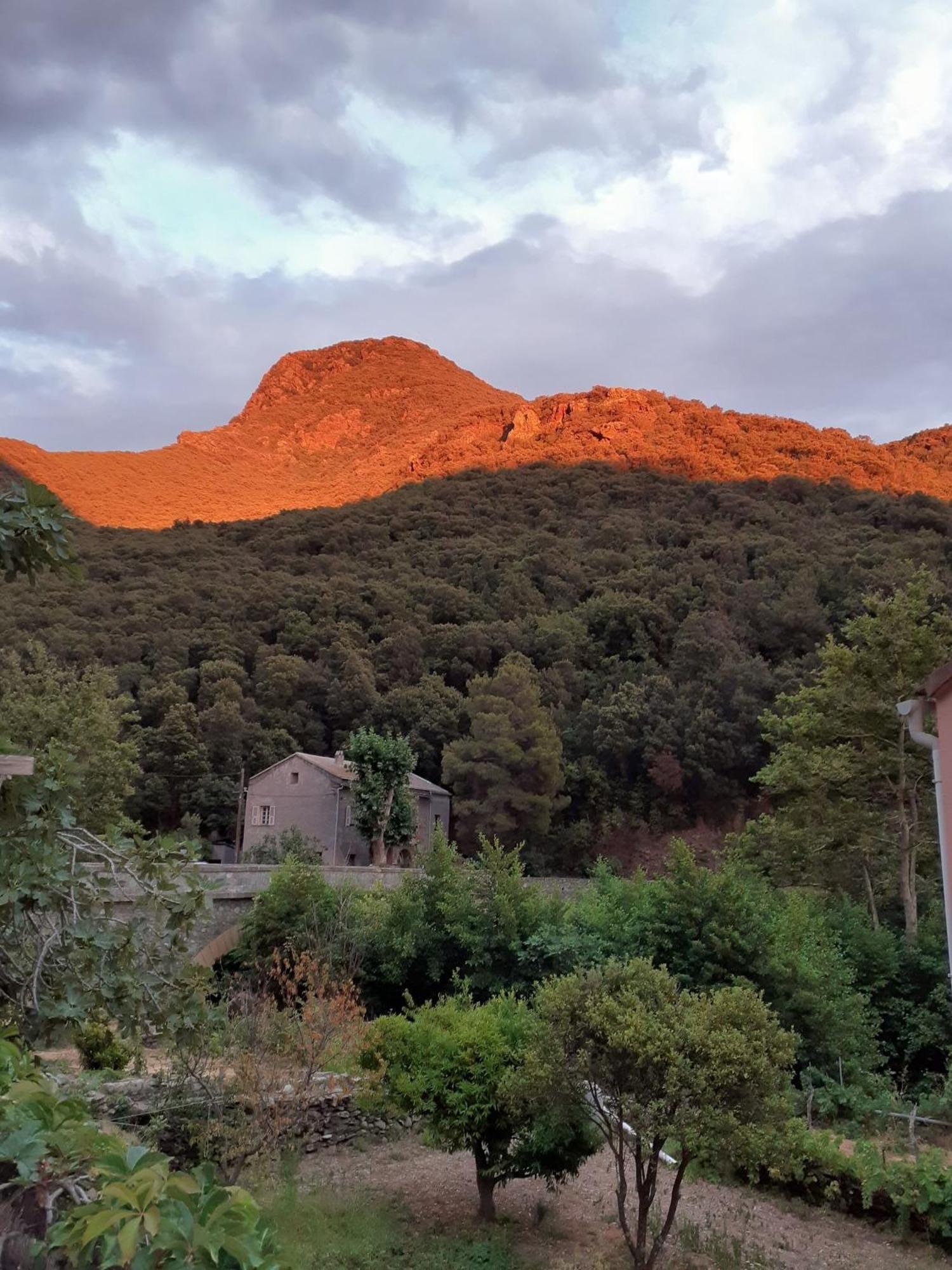 Cap Corse - Maison A 500M De La Plage Grillasca Zewnętrze zdjęcie